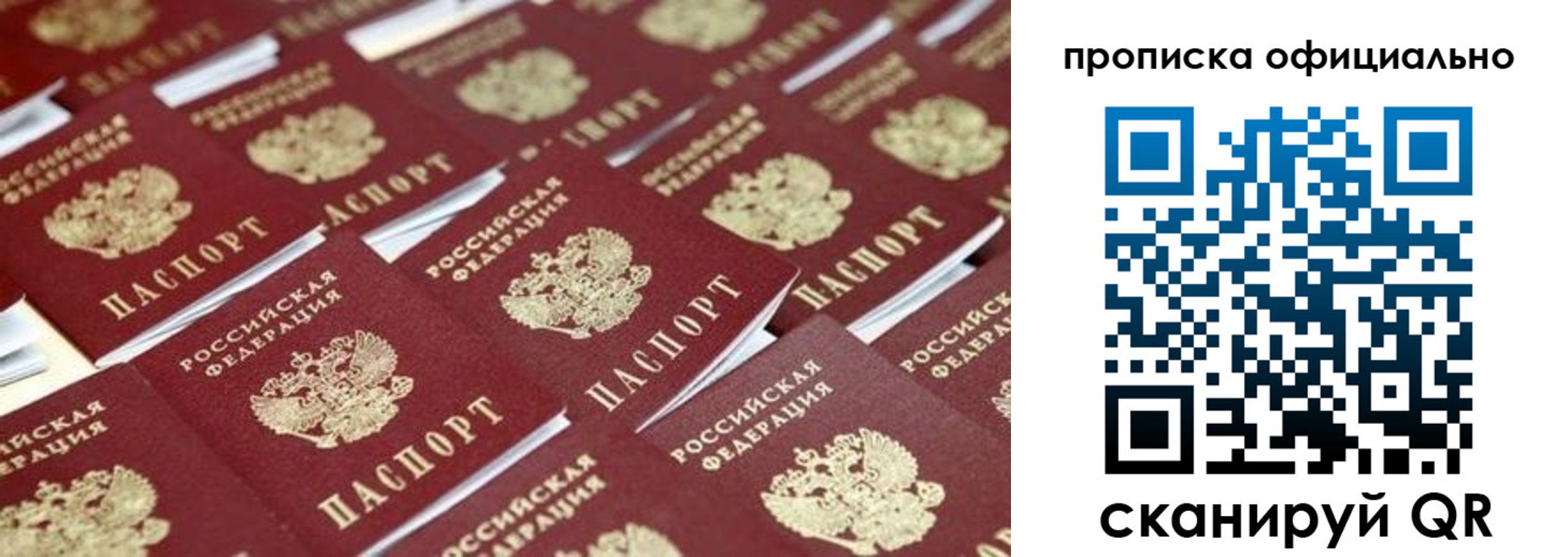 прописка гарантия в Суздали
